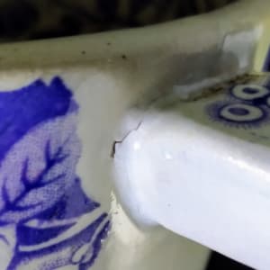 Aquatic by Industrial Pottery  Image: Detail