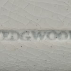 Unnamed (Silene) by Josiah Wedgwood 