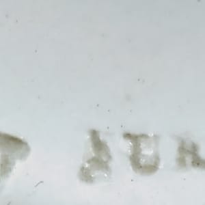 Unnamed (Delicate Flower Sprays) by Thomas Furnival & Sons 