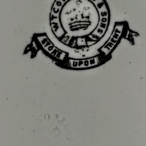 Unnamed (Exotic Flowers) by W. T. Copeland & Sons 