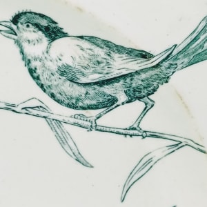 Unnamed (Birds & Botanics) by Josiah Wedgwood 