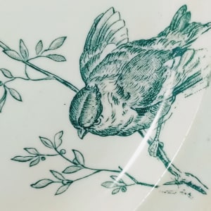 Unnamed (Birds & Botanics) by Josiah Wedgwood 
