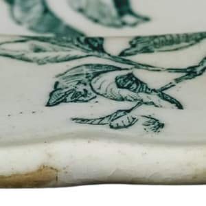 Unnamed (Birds & Botanics) by Josiah Wedgwood 