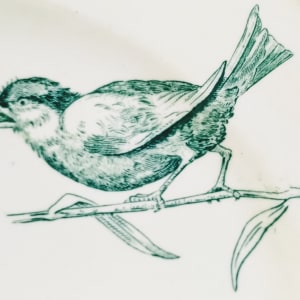 Unnamed (Birds & Botanics) by Josiah Wedgwood 
