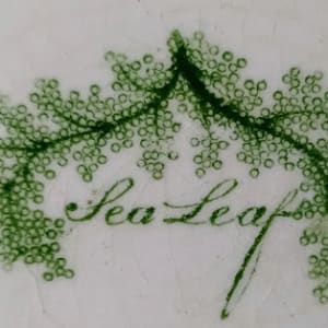 Sea Leaf by Unknown Maker, Image 3.