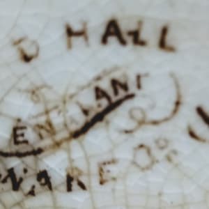 Unnamed (Exotic Flowers) by Old Hall Earthenware Co. Ltd., Image 6.