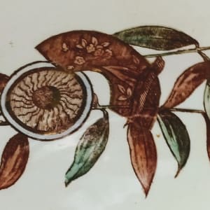Siam by Thomas Furnival & Sons 