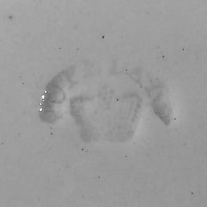 Cairo by W. T. Copeland & Sons