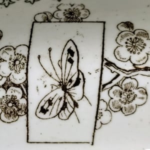 Chinese by Thomas Furnival & Sons 