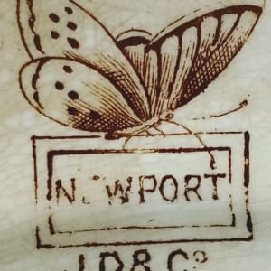 Newport by J. Dimmock & Co. (W. D. Cliff) 