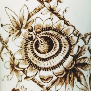 Passion Flower by J. F. Wileman