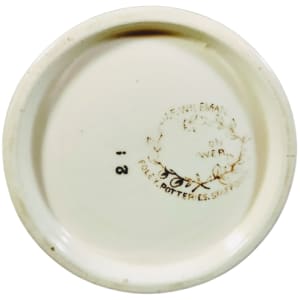 Passion Flower by J. F. Wileman