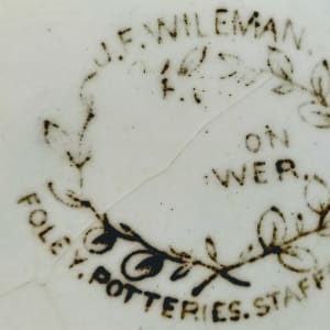 Passion Flower by J. F. Wileman