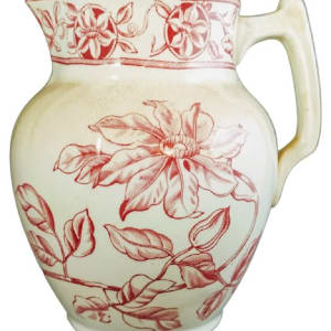 Clematis by T. G. Booth