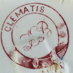Clematis by T. G. Booth 