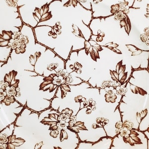 Hawthorn by W. H. Grindley & Co. 