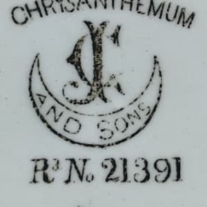 Chrysanthemum by George Jones & Sons 