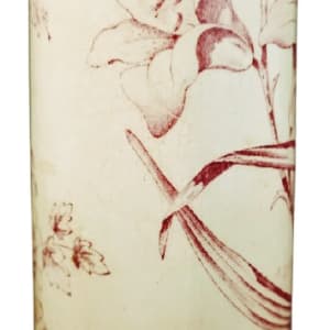 Lily by J. H. & S. 