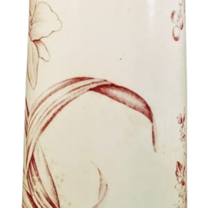 Lily by J. H. & S. 