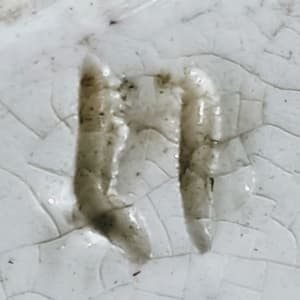 Richmond by Bovey Tracey Pottery Co., Image 7.