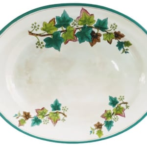 Unnamed (English Ivy) by Thomas Booth & Sons