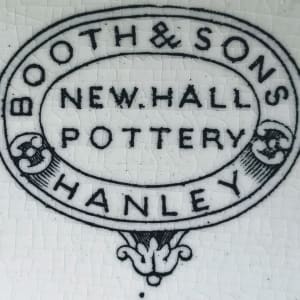 Unnamed (English Ivy) by Thomas Booth & Sons 