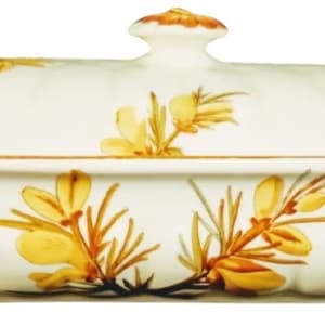 Gorse by Mintons 