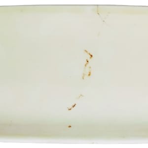 Gorse by Mintons 