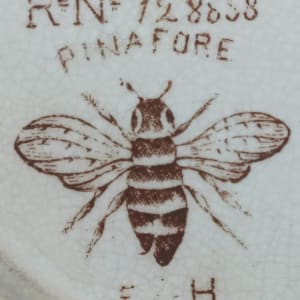 Pinafore by Forester & Hulme 