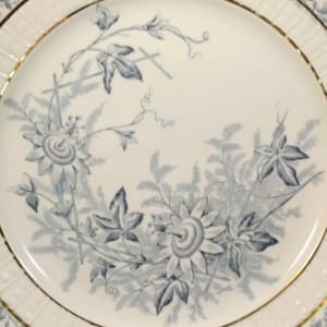 Lara by F. Winkle & Co.  Image: Detail