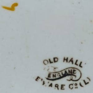 Unnamed (Exotic Flowers) by Old Hall Earthenware Co. Ltd. 