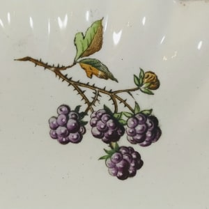 Unnamed (Blackberry Bramble) by W. T. Copeland & Sons, Image 5.