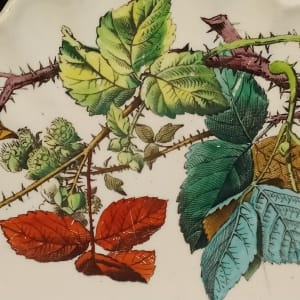 Unnamed (Blackberry Bramble) by W. T. Copeland & Sons, Image 4.