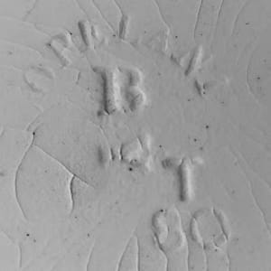 Unnamed (Blackberry Bramble) by W. T. Copeland & Sons, Image 3.