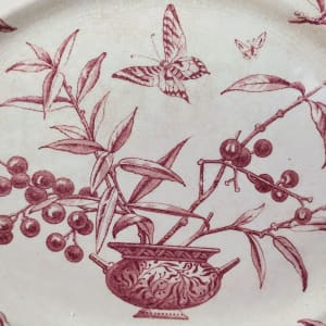 Privet by Baker & Co. 