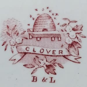 Clover by Burgess & Leigh 