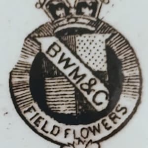 Field Flowers by Brown-Westhead, Moore & Co.  Image: Printed Maker's Mark