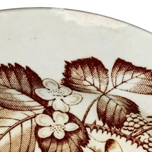 Lucerne by Moore & Co. 