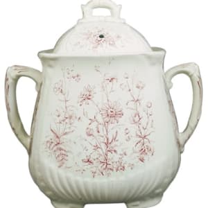 Spring Flowers by Whittaker & Co. 