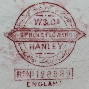 Spring Flowers by Whittaker & Co. 