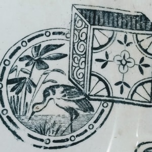Japan by Tundley, Rhodes & Procter 