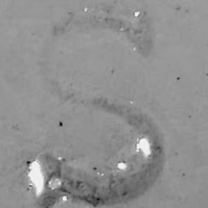 Unnamed (Forest Foliage) by Stonier, Hollinshead & Oliver 