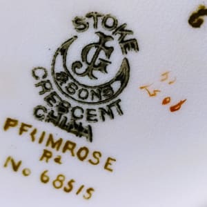 Primrose by George Jones & Sons 