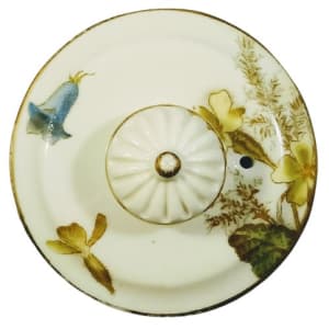 Primrose by George Jones & Sons 