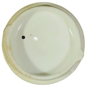 Primrose by George Jones & Sons 