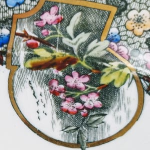 Hawthorn by George Jones & Sons 