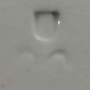 Puck Dessert Service: Bringing Home Dessert by W. T. Copeland & Sons 