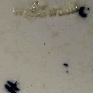 Unnamed (Cameo Head) by Josiah Wedgwood, Image 8.