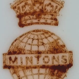 Unnamed (Chrysanthemum) by Mintons 