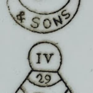 Ivy Bower by George Jones & Sons 